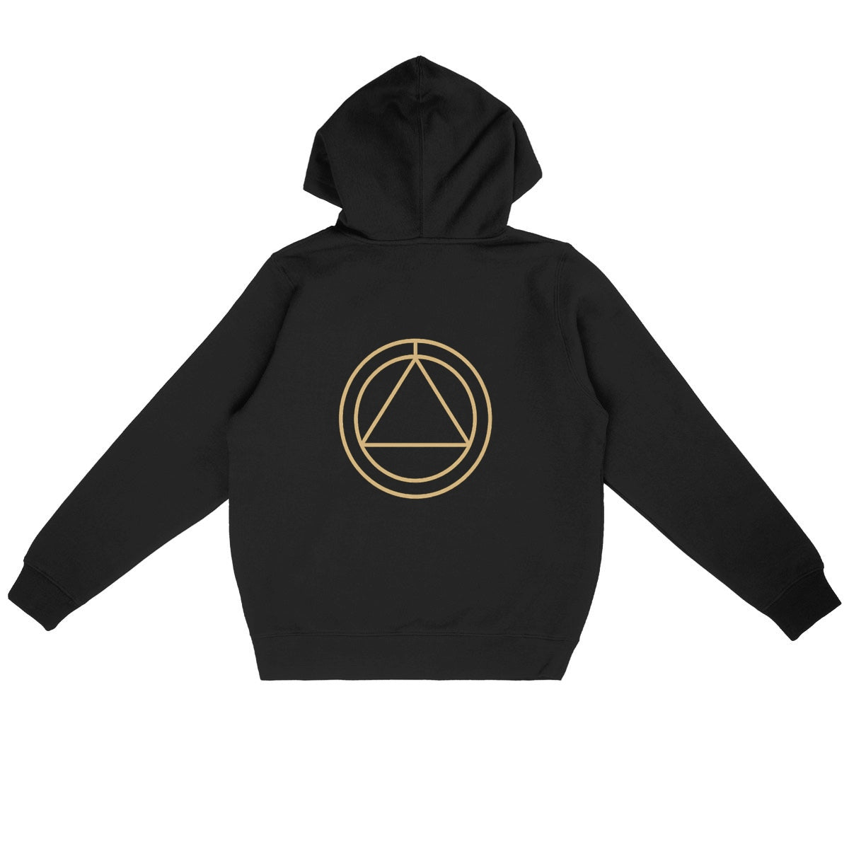 Golden Phoenix Hoodie – Rise in Strength, Shine in Style - back_black